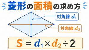 ひし形の面積の求め方｜公式と計算手順をわかりやすく解説
