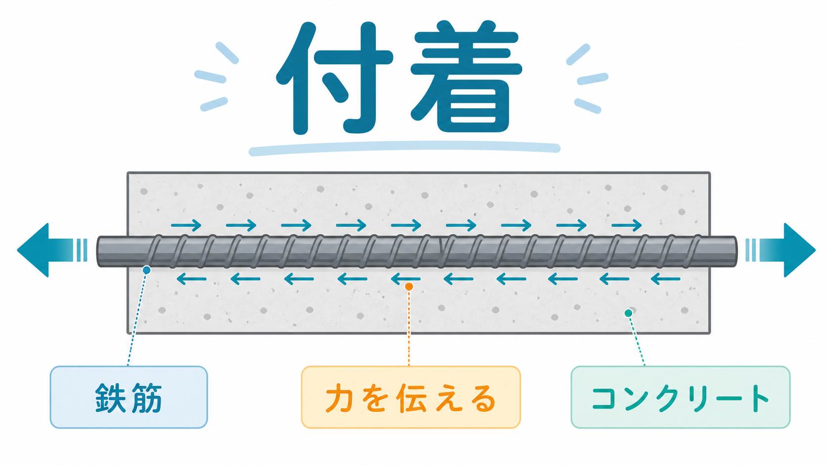付着のアイキャッチ画像